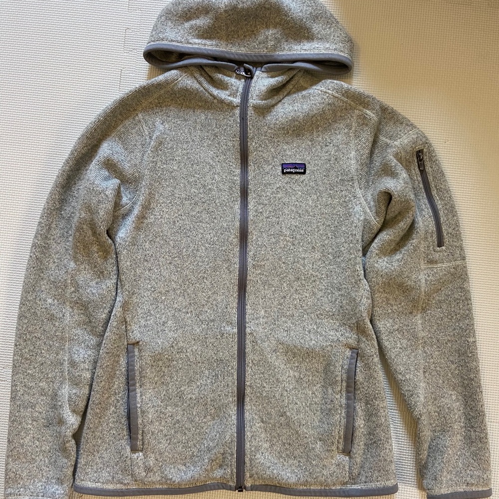Patagonia Better Sweater Fleece Hoody birch white